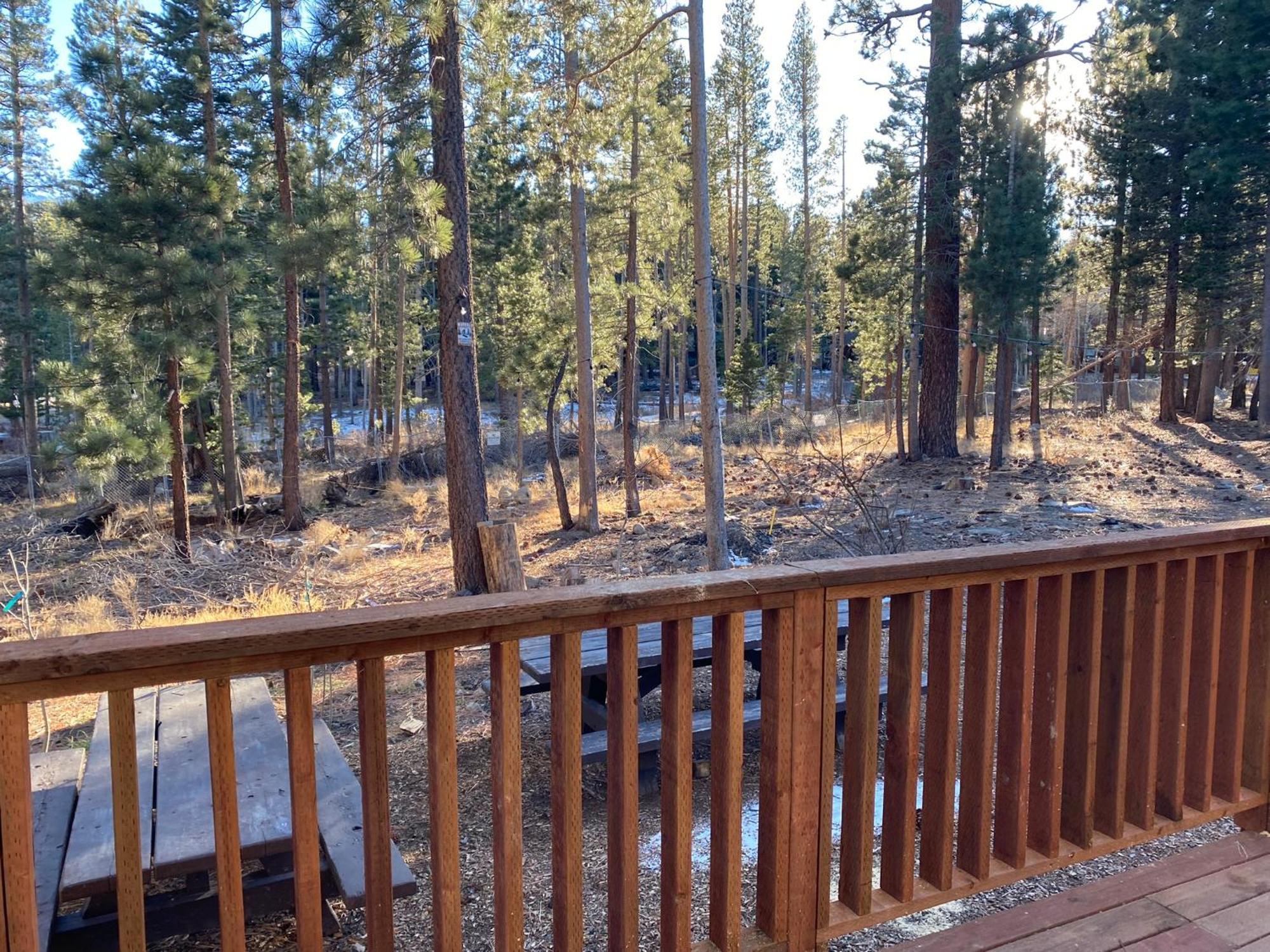 Cinnamon Bear Inn Mammoth Lakes Kültér fotó